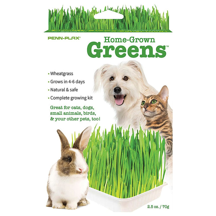 Small Animal Life™ Home-Grown Greens Penn Plax