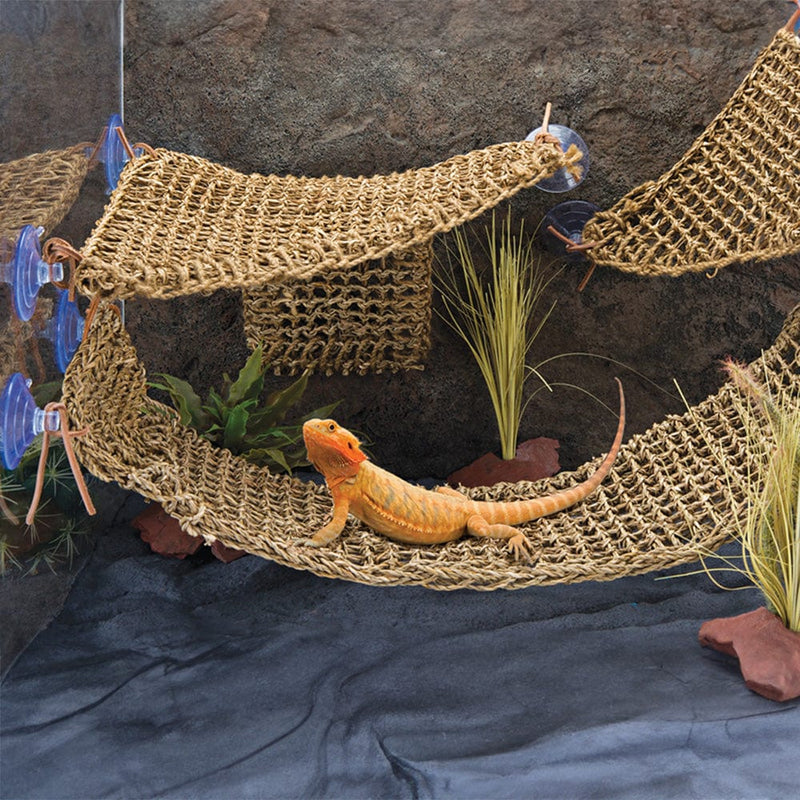 Reptology™ Lizard-Lounger™ - Large Penn Plax