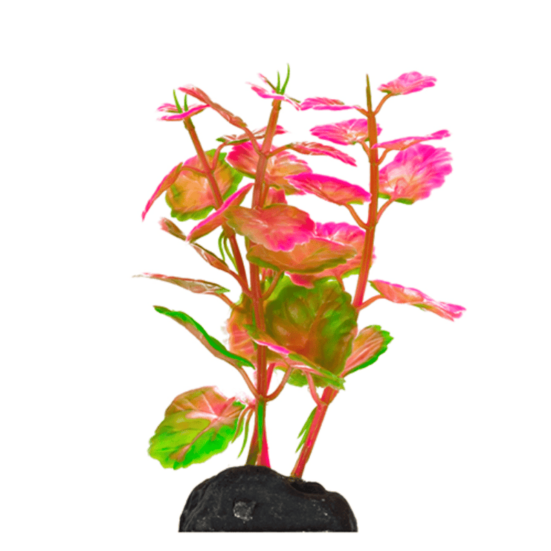 Aquarium Plants Betta Plants 4" 6pk Multi-Color Assortment Penn Plax