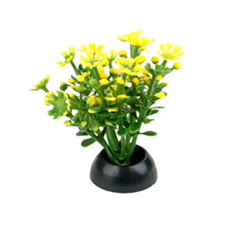 Aquarium Plants Betta Plants 2" 6pk Penn Plax