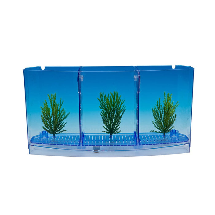 Kit de tanque Betta Bow Front 1-2-3 de Water World(TM) - Tanque de acuario Penn Plax Deluxe Triple Betta Bow