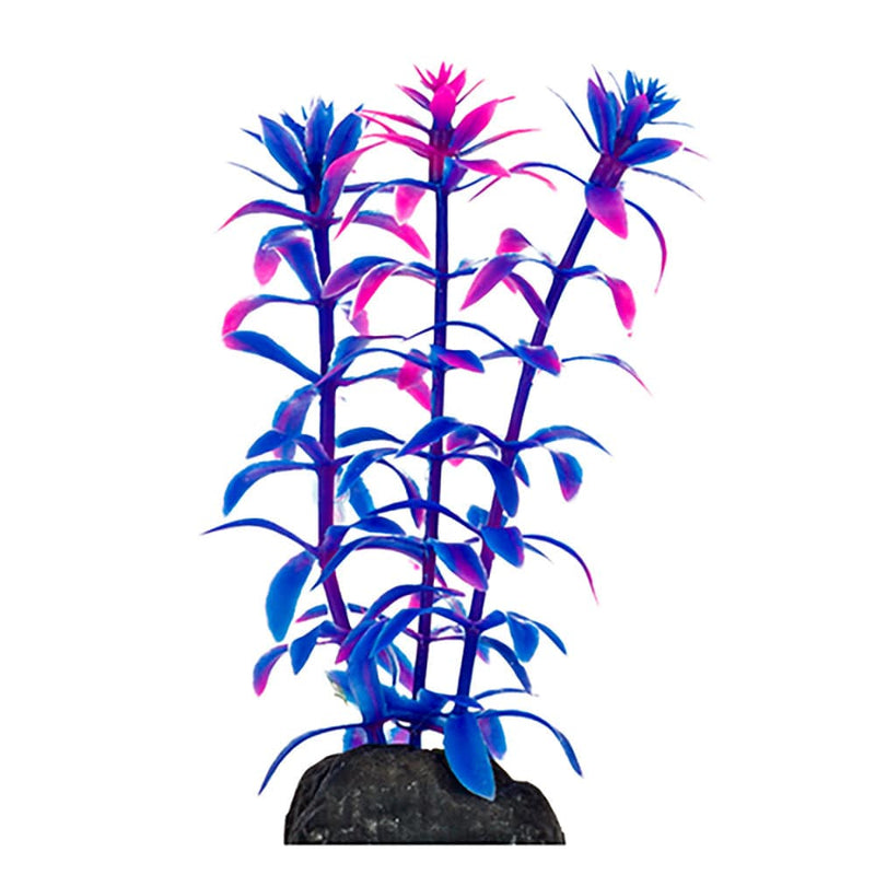 Aquarium Plants Betta Plants 4" 6pk Multi-Color Assortment Penn Plax