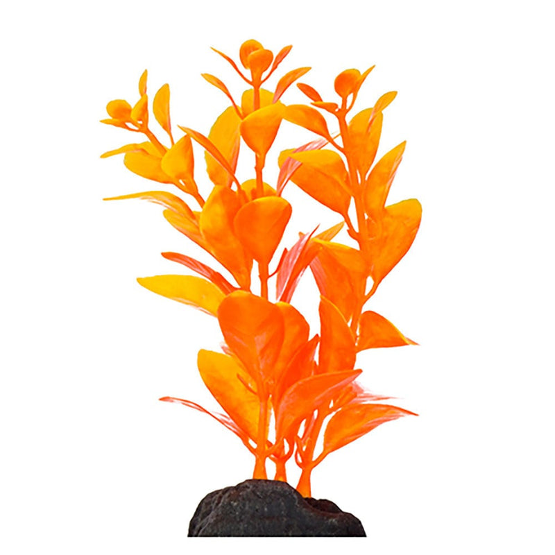 Aquarium Plants Betta Plants 4" 6pk Multi-Color Assortment Penn Plax