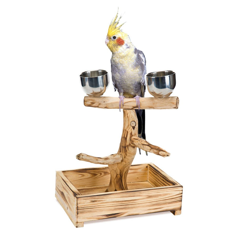 Bird Life™ Natural Wood Tree Perch for Small & Medium Birds Penn Plax