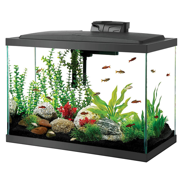 Kit de acuario LED Aqueon de 20 galones, color negro, 24,2" x 12,5" x 19,5"