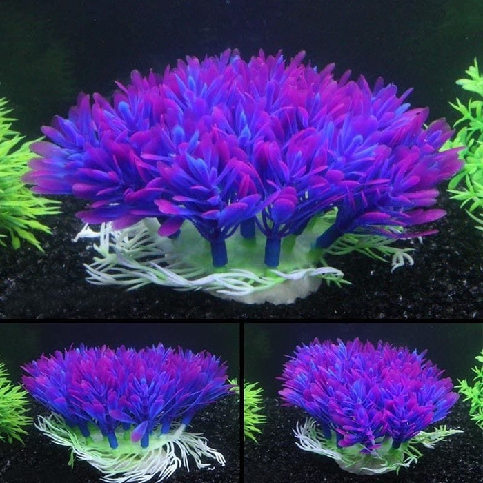 Aquarium Plant - SHIPPING IS INCLUDED IN THE PRICE OF THIS PRODUCT