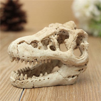 Aquarium Ornament - small resin dinosaur skull - SHIPPING IS INCLUDED IN THE PRICE OF THIS PRODUCT