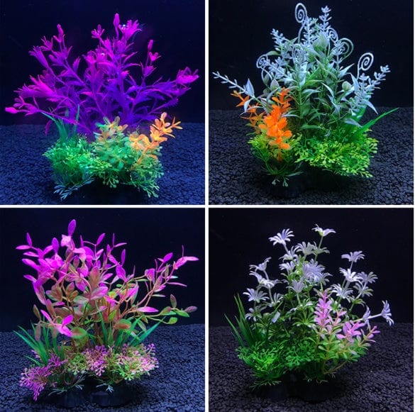 Aquarium Plant - SHIPPING IS INCLUDED IN THE PRICE OF THIS PRODUCT