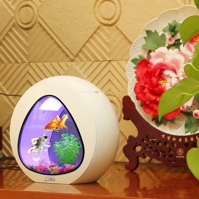 Desktop fish tank aquarium              SHIPPING IS INCLUDED IN THE PRICE OF THIS PRODUCT