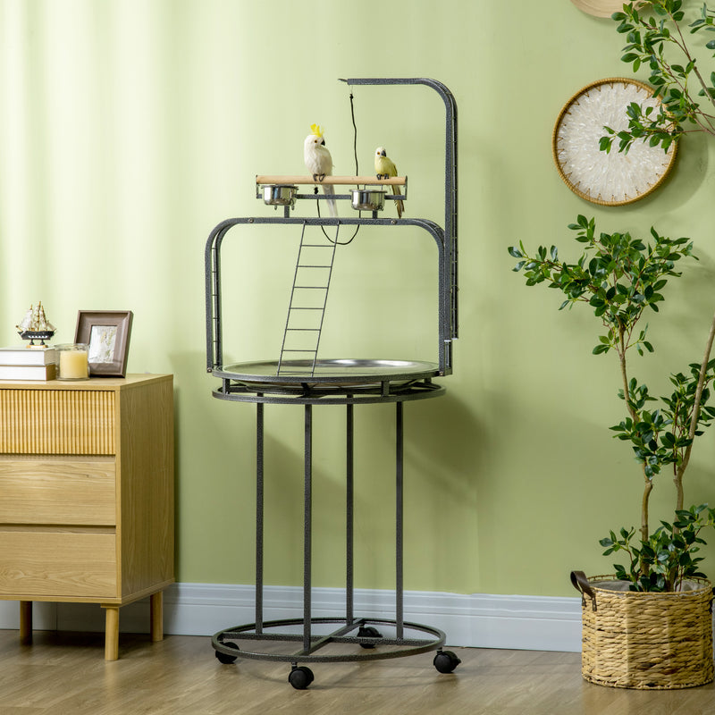 Parrot Stand Large Bird Perch Stand with Toy Hook & 3 Ladders