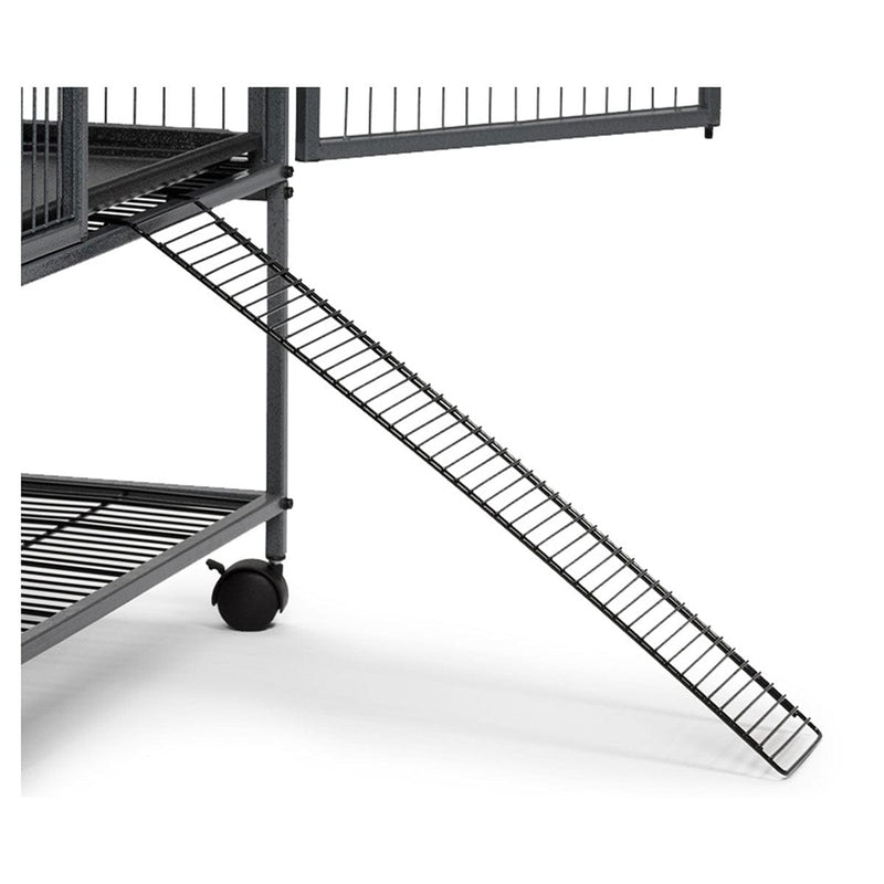 Rampa de salida de Midwest Ferret Nation, color azul, 25,25" x 5,5"