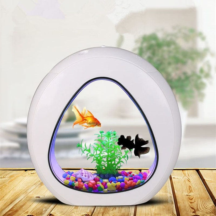 Desktop fish tank aquarium              SHIPPING IS INCLUDED IN THE PRICE OF THIS PRODUCT