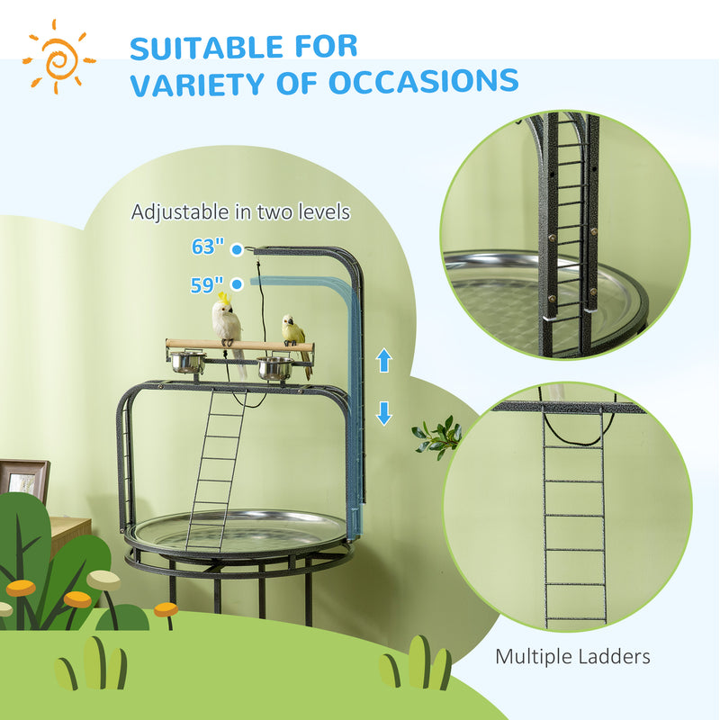 Parrot Stand Large Bird Perch Stand with Toy Hook & 3 Ladders