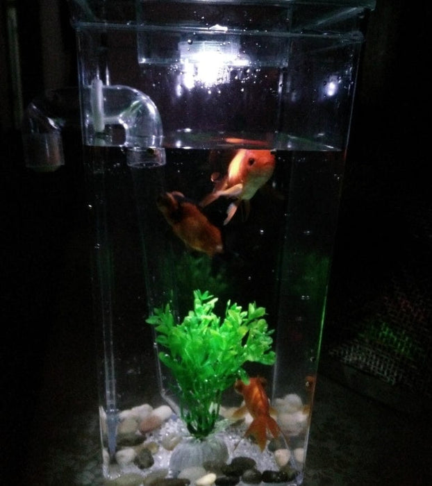 Mini desktop fish tank -  self-cleaning small desktop fish tank - SHIPPING IS INCLUDED IN THE PRICE OF THIS PRODUCT