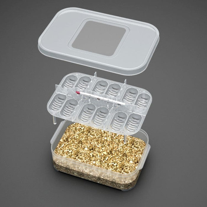 Reptile Egg Tray Incubator Box  - SHIPPING IS INCLUDED IN THE PRICE OF THIS PRODUCT