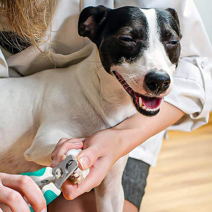 Cortauñas para perros o gatos - EL ENVÍO ESTÁ INCLUIDO EN EL PRECIO DE ESTE PRODUCTO