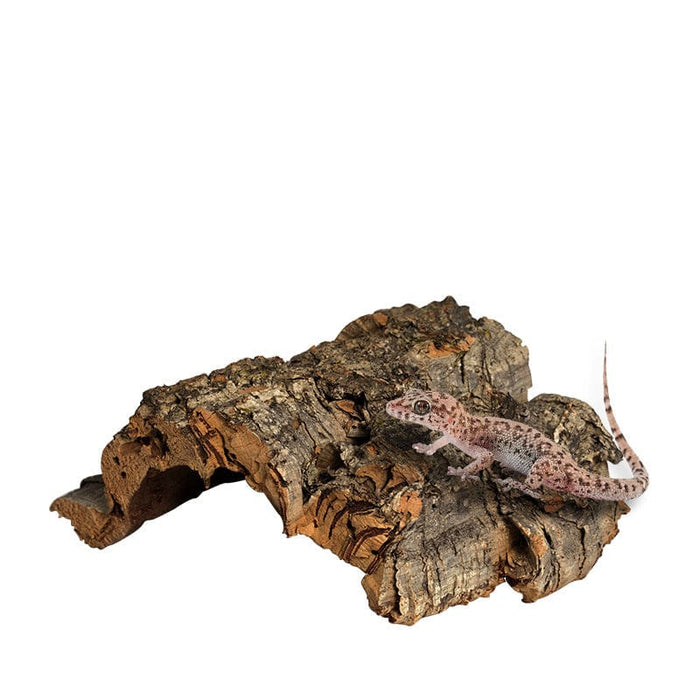 Reptile Natural Cork Bark Decoration - SHIPPING IS INCLUDED IN THE PRICE OF THIS PRODUCT