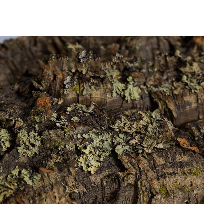 Reptile Natural Cork Bark Decoration - SHIPPING IS INCLUDED IN THE PRICE OF THIS PRODUCT