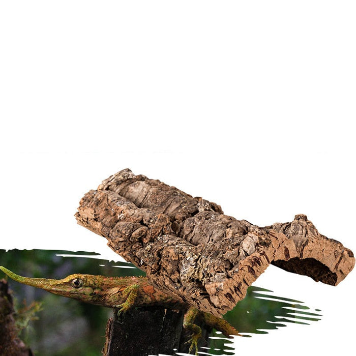 Reptile Natural Cork Bark Decoration - SHIPPING IS INCLUDED IN THE PRICE OF THIS PRODUCT