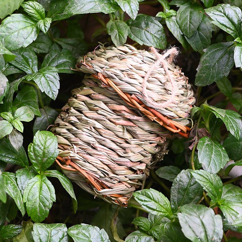 Bird Nest  -  Handicraft Hand-Woven Straw Nest                  SHIPPING IS INCLUDED IN THE PRICE OF THIS PRODUCT