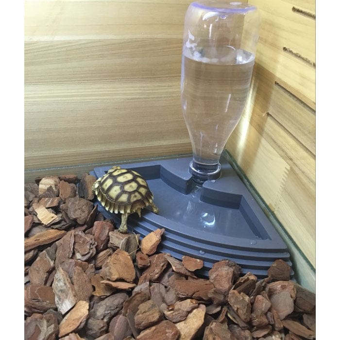 Reptile Automatic Drinking Fountain - SHIPPING IS INCLUDED IN THE PRICE OF THIS PRODUCT