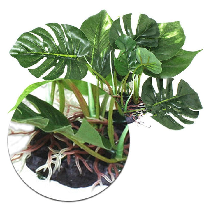 Reptile Landscaping Plant -  SHIPPING IS INCLUDED IN THE PRICE OF THIS PRODUCT