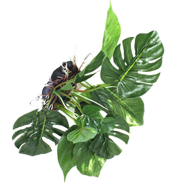 Reptile Landscaping Plant -  SHIPPING IS INCLUDED IN THE PRICE OF THIS PRODUCT