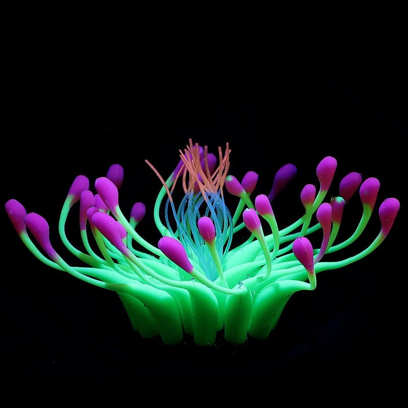 Aquarium Ornament - SHIPPING IS INCLUDED IN THE PRICE OF THIS PRODUCT