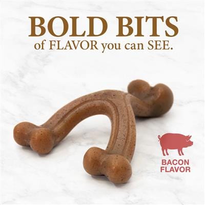 Nylabone Gourmet Style Strong Chew Wishbone Dog Toy Wishbone, Bacon, Small