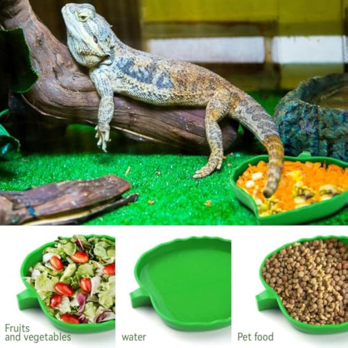 Comedero o bebedero de hojas para reptiles, para tortugas, lagartos, dragones barbudos jóvenes y serpientes pequeñas, 2 tamaños. EL ENVÍO ESTÁ INCLUIDO EN EL PRECIO DE ESTE PRODUCTO