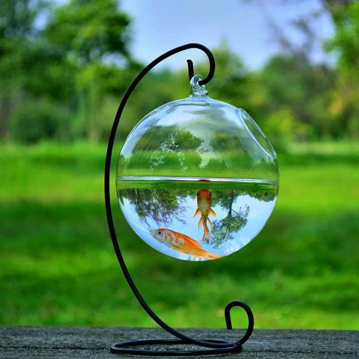 Hanging Glass Vase Fish Tank                SHIPPING IS INCLUDED IN THE PRICE OF THIS PRODUCT