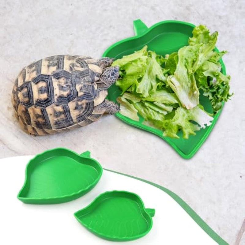 Reptile Leaf Food or Water Bowl  - For Tortoise, Lizards, Young Bearded Dragons, Small Snakes, 2 Sizes -  SHIPPING IS INCLUDED IN THE PRICE OF THIS PRODUCT