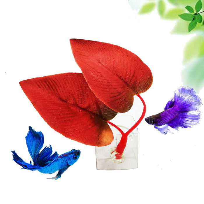 Betta Bed -  SHIPPING IS INCLUDED IN THE PRICE OF THIS PRODUCT