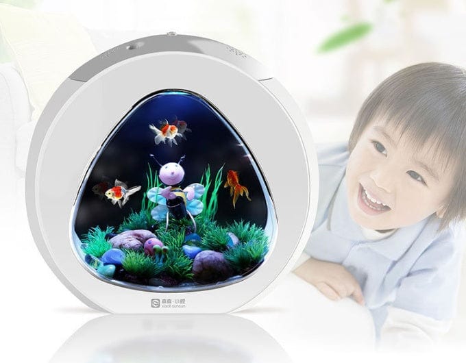 Desktop fish tank aquarium              SHIPPING IS INCLUDED IN THE PRICE OF THIS PRODUCT