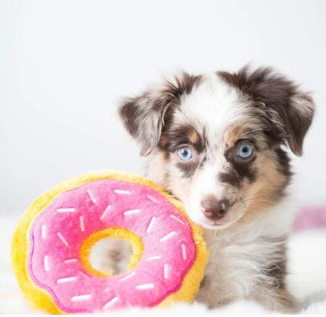 ZippyPaws Dog Donutz Toy Strawberry Sprinkle