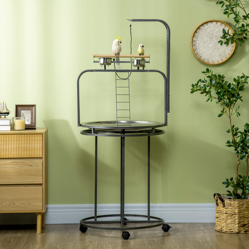 Parrot Stand Large Bird Perch Stand with Toy Hook & 3 Ladders