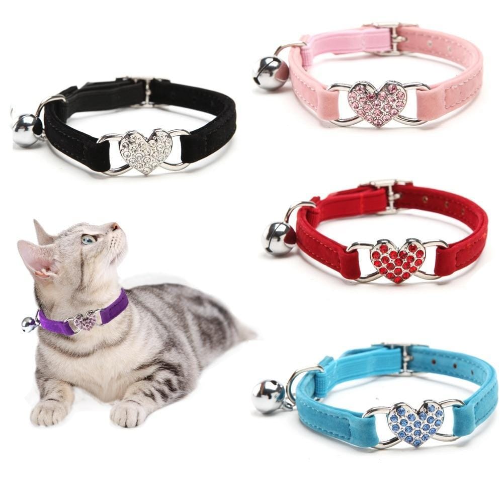 Collares y arneses para gatos