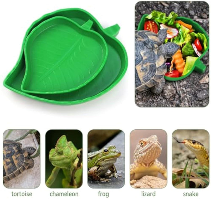 Reptile Leaf Food or Water Bowl  - For Tortoise, Lizards, Young Bearded Dragons, Small Snakes, 2 Sizes -  SHIPPING IS INCLUDED IN THE PRICE OF THIS PRODUCT