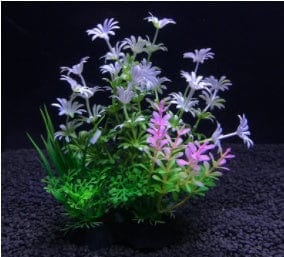 Aquarium Plant - SHIPPING IS INCLUDED IN THE PRICE OF THIS PRODUCT