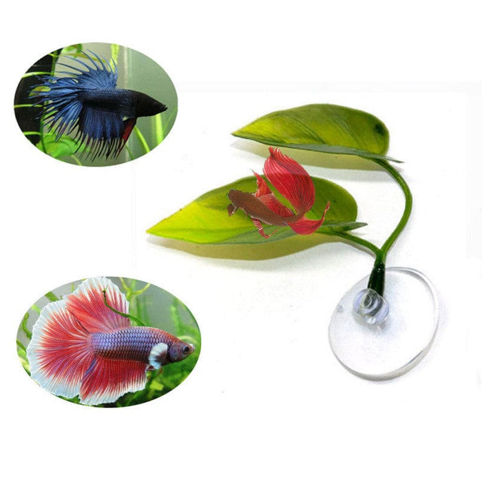 Betta Bed -  SHIPPING IS INCLUDED IN THE PRICE OF THIS PRODUCT