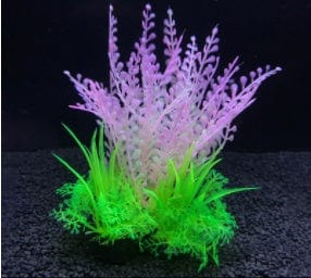 Aquarium Plant - SHIPPING IS INCLUDED IN THE PRICE OF THIS PRODUCT