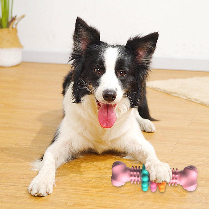 Juguete masticable para perros Hueso para perros - Juguete para limpiar los dientes - EL ENVÍO ESTÁ INCLUIDO EN EL PRECIO DE ESTE PRODUCTO