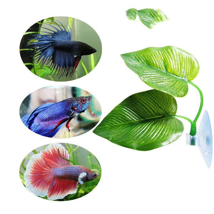 Betta Bed -  SHIPPING IS INCLUDED IN THE PRICE OF THIS PRODUCT