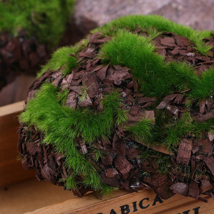 Reptile Artificial moss Decoration - SHIPPING IS INCLUDED IN THE PRICE OF THIS PRODUCT