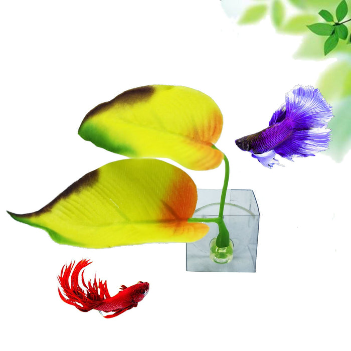 Betta Bed -  SHIPPING IS INCLUDED IN THE PRICE OF THIS PRODUCT