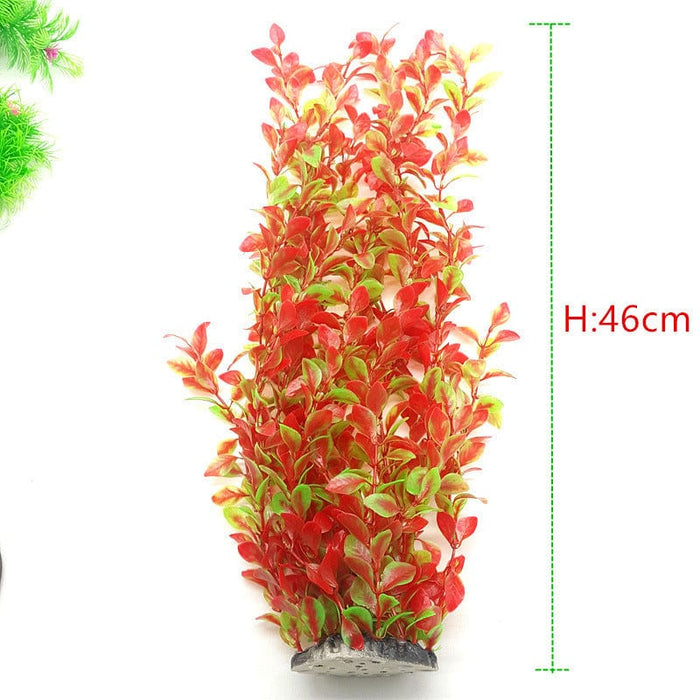 Aquarium  plant - SHIPPING IS INCLUDED IN THE PRICE OF THIS PRODUCT