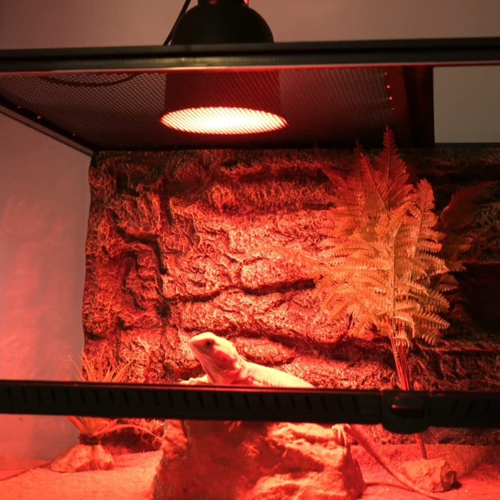 Reptile 50w Heat Lamp - SHIPPING IS INCLUDED IN THE PRICE OF THIS PRODUCT