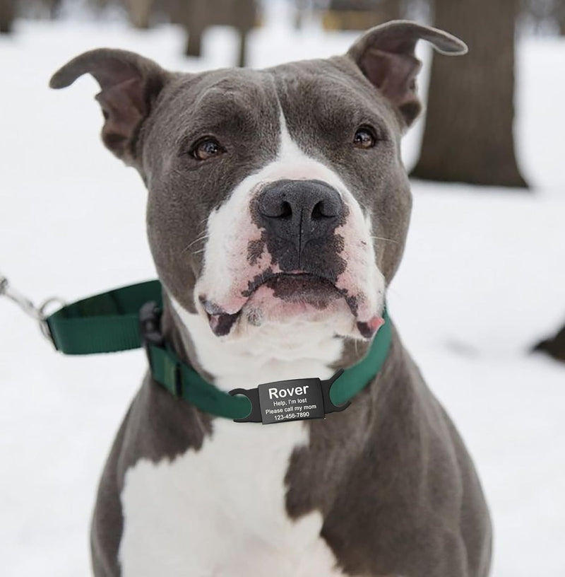 Slide On Pet Id Tag Silicone Medium - Dog Tag - Free Engraving