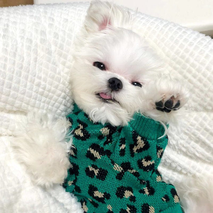 Knitted Leopard-print  Dog Sweater        SHIPPING IS INCLUDED IN THE PRICE OF THIS PRODUCT