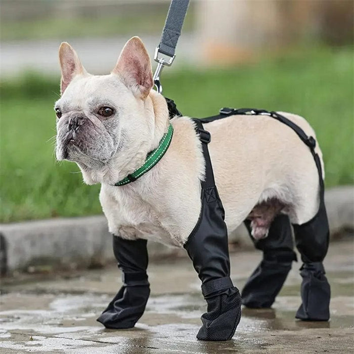 Zapatos Impermeables para Perros - Botas para Perros EL ENVÍO ESTÁ INCLUIDO EN EL PRECIO DE ESTE PRODUCTO